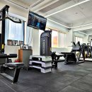 더 리얼핏 이미지