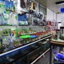 대청애견수족관 이미지