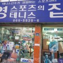 영스포츠 이미지