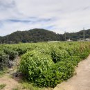 미더스공인중개사사무소 이미지