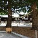 참진에너지 이미지