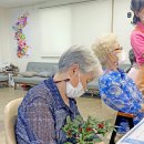 풀잎사랑화원 - 고양시 덕양구 행신로 31 | [울산원데이클래스]화원에 오지 않아도 원예클래스 가능해요