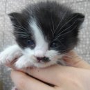 자양동잠실대교북단 이미지