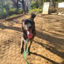 바우스쿨 이미지