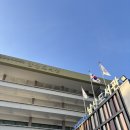 서울하늘숲유치원 | 서울단풍 구경, 남산 하늘숲길 다녀온 후기 및 정보