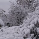 두류공원 이미지