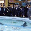 상어식당