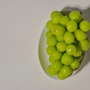 윤채농장 이미지