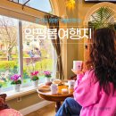 백민미술관 광장 주차장 | 경기도 양평 가볼만한곳 봄 여행지 미술관 카페 두물경