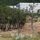 덤벙분청공원 이미지