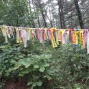 솔향기민박 이미지