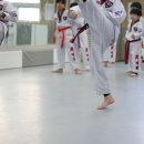 우정태권도교육관 | 전하동 유치부 태권도 아이들의 체력 증진을 위해서