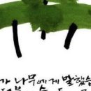 더불어숲 이미지