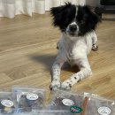 조하유통 이미지