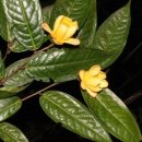 (유)현유 이미지