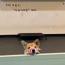 도킹어바웃 이미지