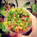 푸르메가살고있는곳 이미지