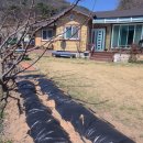 청송나무집 이미지