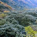 내몸편안한의원 이미지