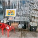 용인대석사 백호태권도장 이미지