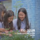 태강삼육초등학교 이미지