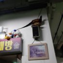 파인에비뉴호텔 이미지