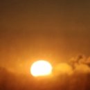 새미래부동산중개사무소 이미지