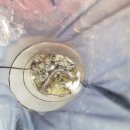 천평낚시터 이미지