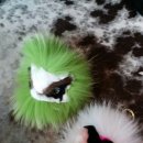 (주)화이트폭스 이미지