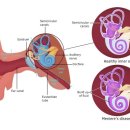 평촌한의원 이미지