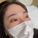 운양동 속눈썹 :: 영양듬뿍 넣어주는 속눈썹펌 후기 [트로이스브로우]