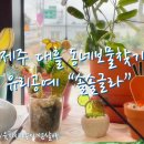솔솔글라