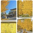 몽브루 | 서울 단풍카페 원탑 북한산카페 몽브루 후기와 주차할인