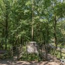 효담(곤드레산채밥상) 이미지