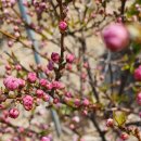 우주미술관 이미지