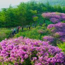 [05월12일 둘째주 토요일] 지리산 바래봉 철쭉산행 이미지