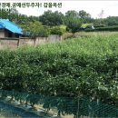 응암2리_마을회관 이미지