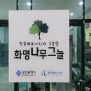 나무그늘 이미지