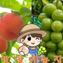 하가농장 이미지