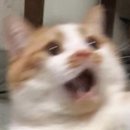 구름둥둥