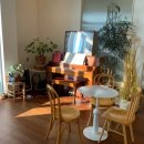 비아라테 이미지