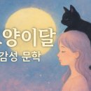 중고서점노아 | 몽환적인 밤을 건네는 책… 내 마음을 비춘 <고양이달>