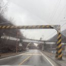 하이원 팰리스호텔 | 하이원 리조트와 하이원팰리스호텔 편의점 털고 온 후기 ft. 셔틀타고 강원랜드 &amp; 트윈룸 가격