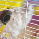 수완종합 동물병원 이미지