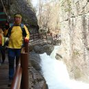 제일농원 이미지