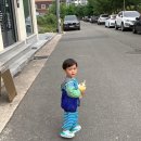 프루츠 모닝 이미지