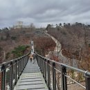 DMZ 평화의길 2코스
