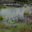 평화1(연못휴게소) 이미지