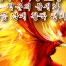 불새