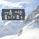 트립포미 이미지